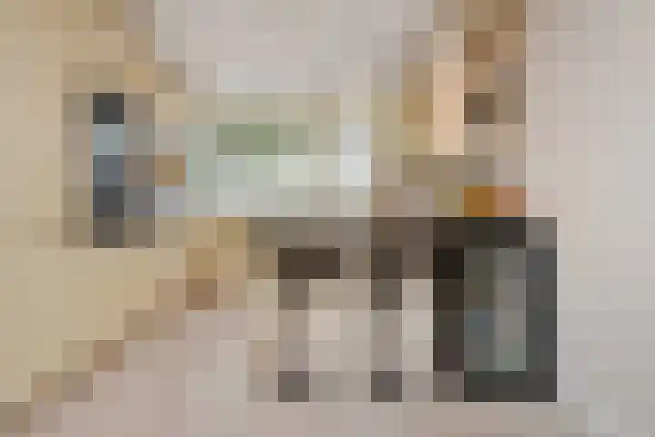 Einddorpstraat 39 Voorburg thumbnail 11