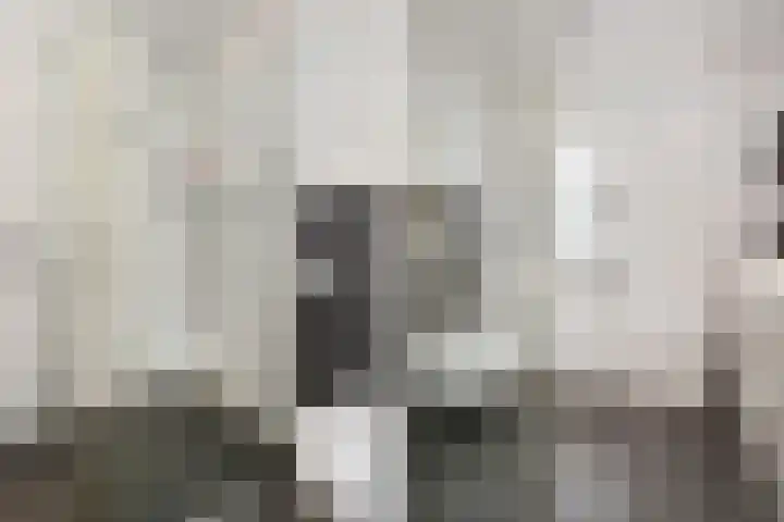 Einddorpstraat 39 Voorburg thumbnail 25