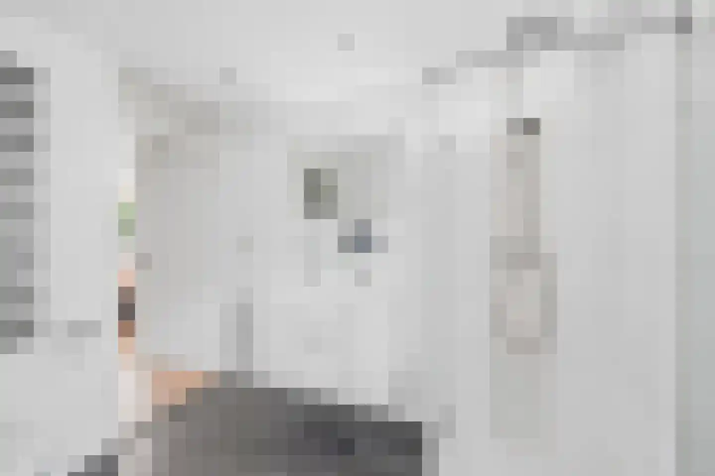 Einddorpstraat 41 Voorburg thumbnail 25