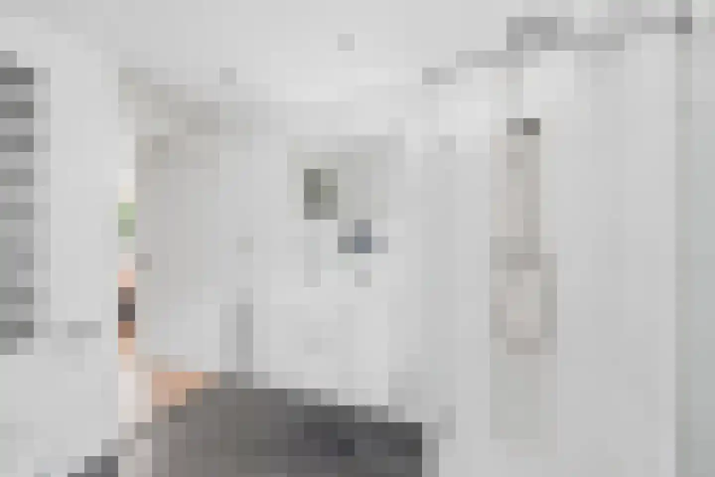 Einddorpstraat 41 Voorburg thumbnail 25