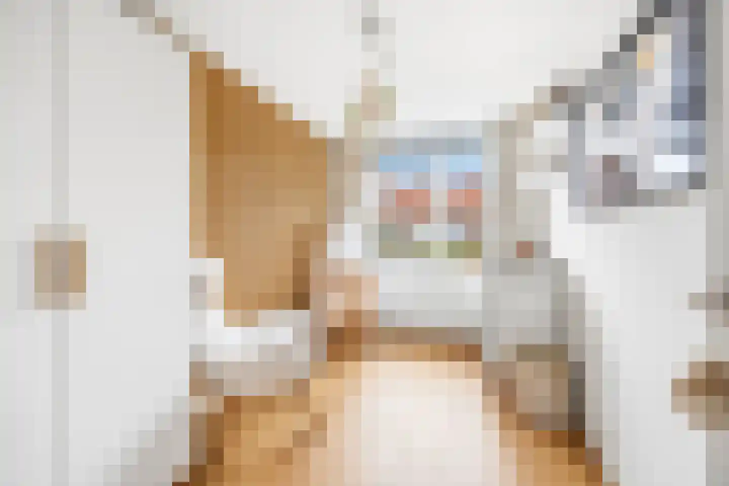 Einddorpstraat 41 Voorburg thumbnail 27