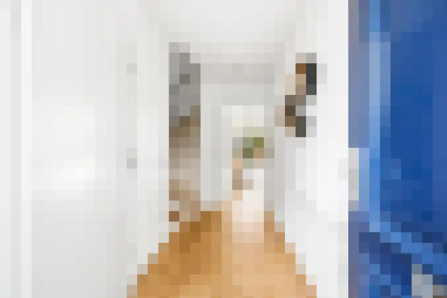 Einddorpstraat 41 Voorburg thumbnail 6