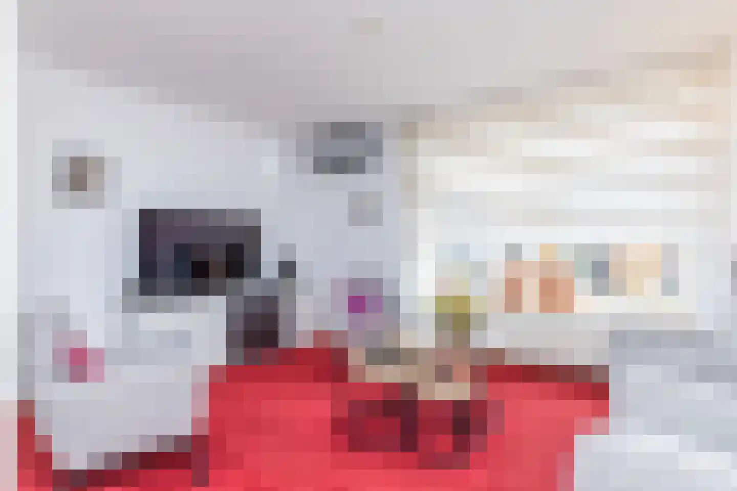 Einder Coolhoff 10 Puth thumbnail 6