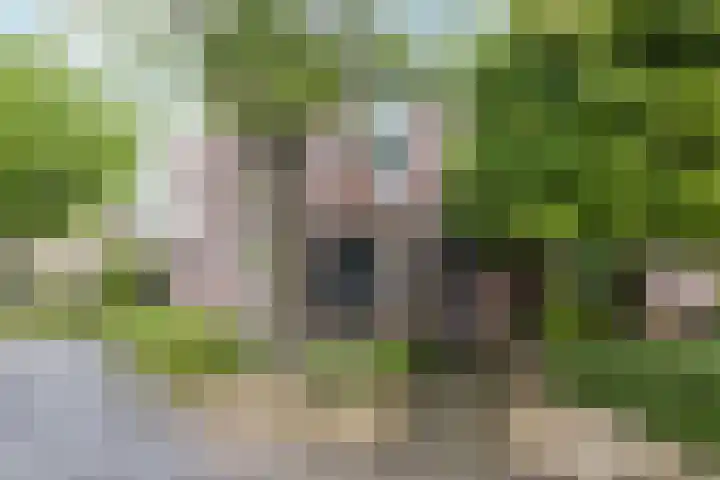 Einder Coolhoff 17 in Puth