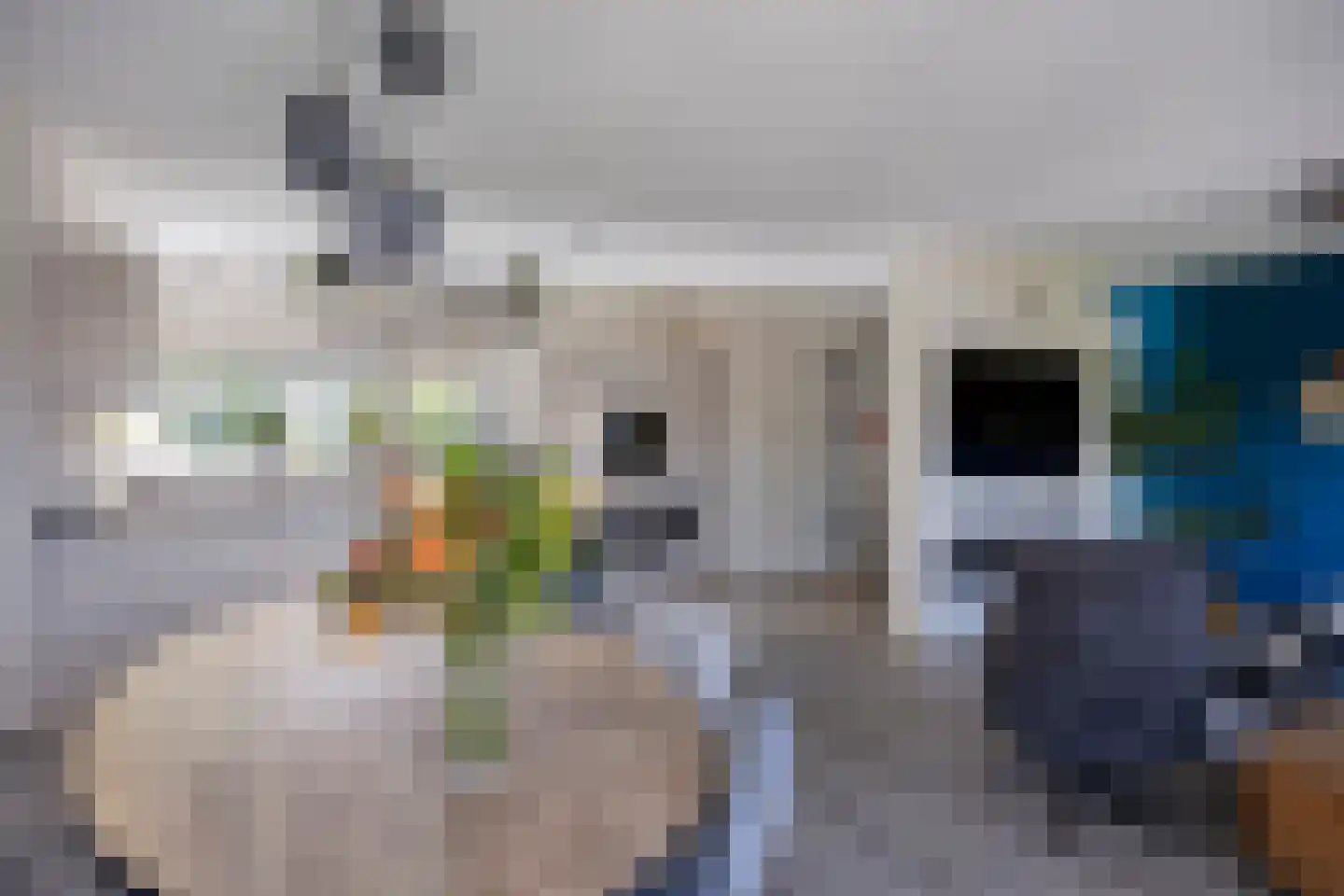 Eindhovenschelaan 11 Dronten thumbnail 13