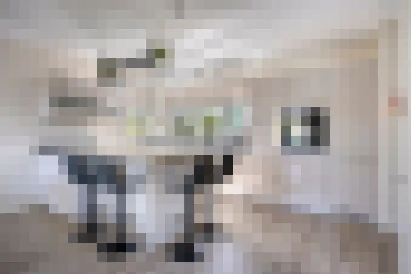 Eindhovenschelaan 11 Dronten thumbnail 14