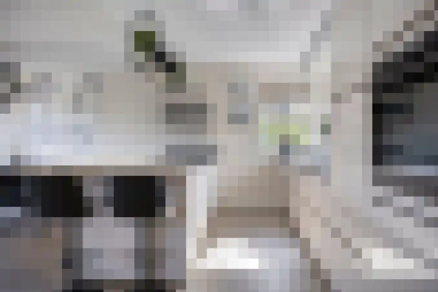 Eindhovenschelaan 11 Dronten thumbnail 15