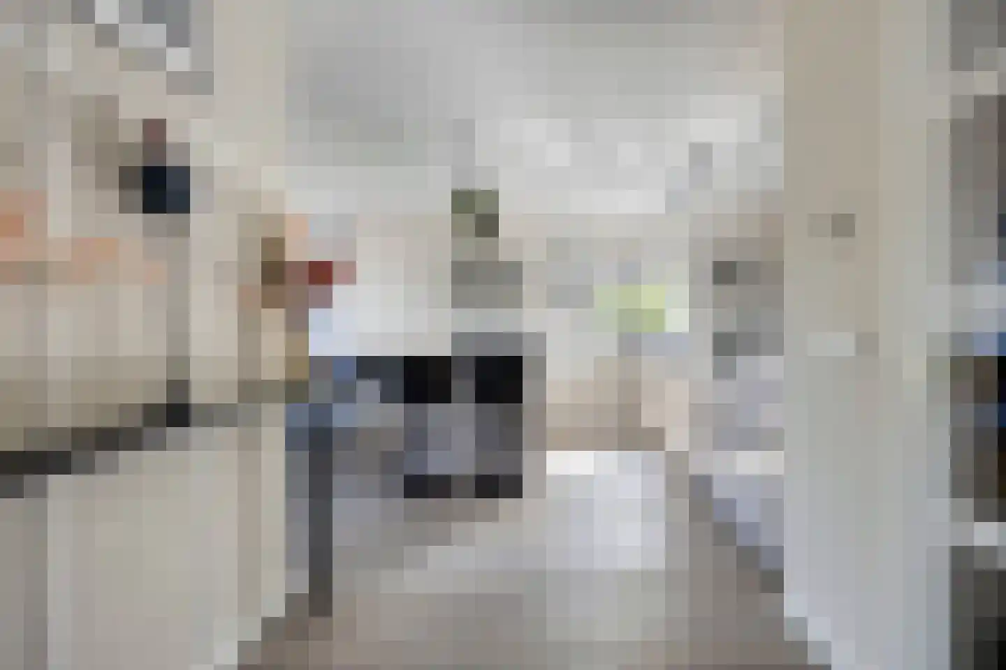 Eindhovenschelaan 11 Dronten thumbnail 17
