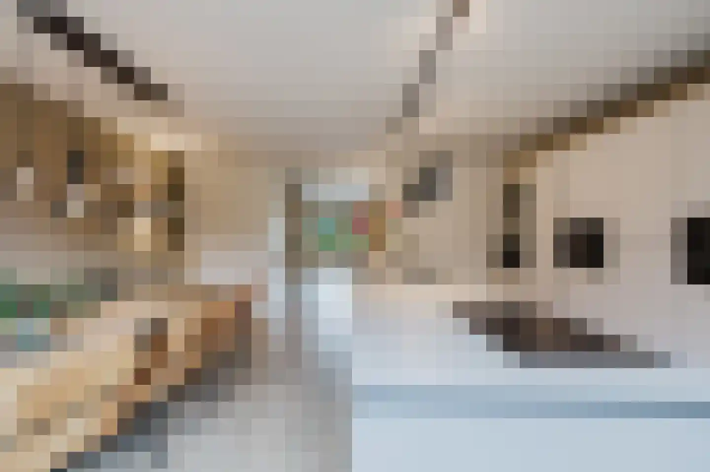 Eindhovensebaan 4 D Veldhoven thumbnail 21