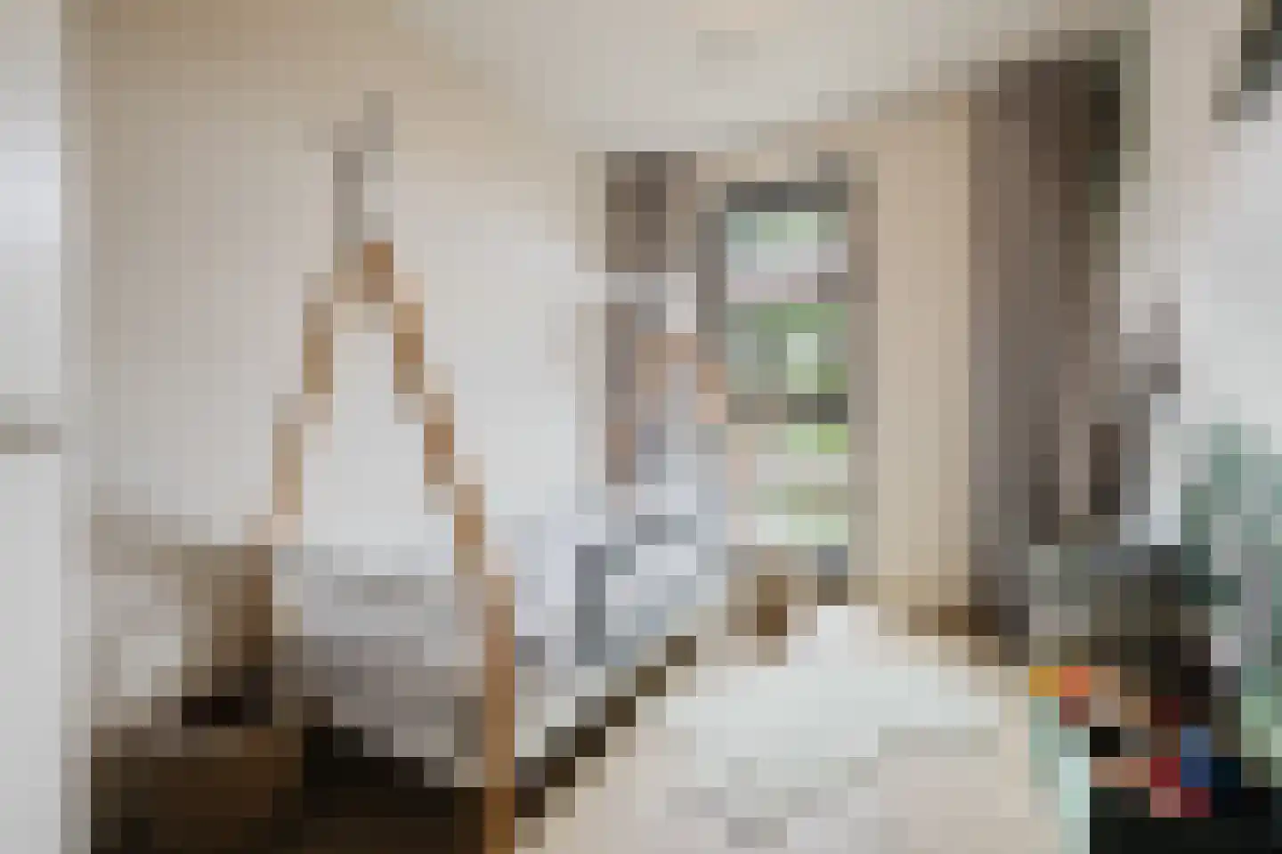 Eindhovensebaan 4 D Veldhoven thumbnail 39