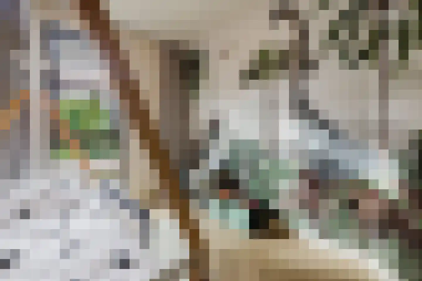 Eindhovensebaan 4 D Veldhoven thumbnail 40