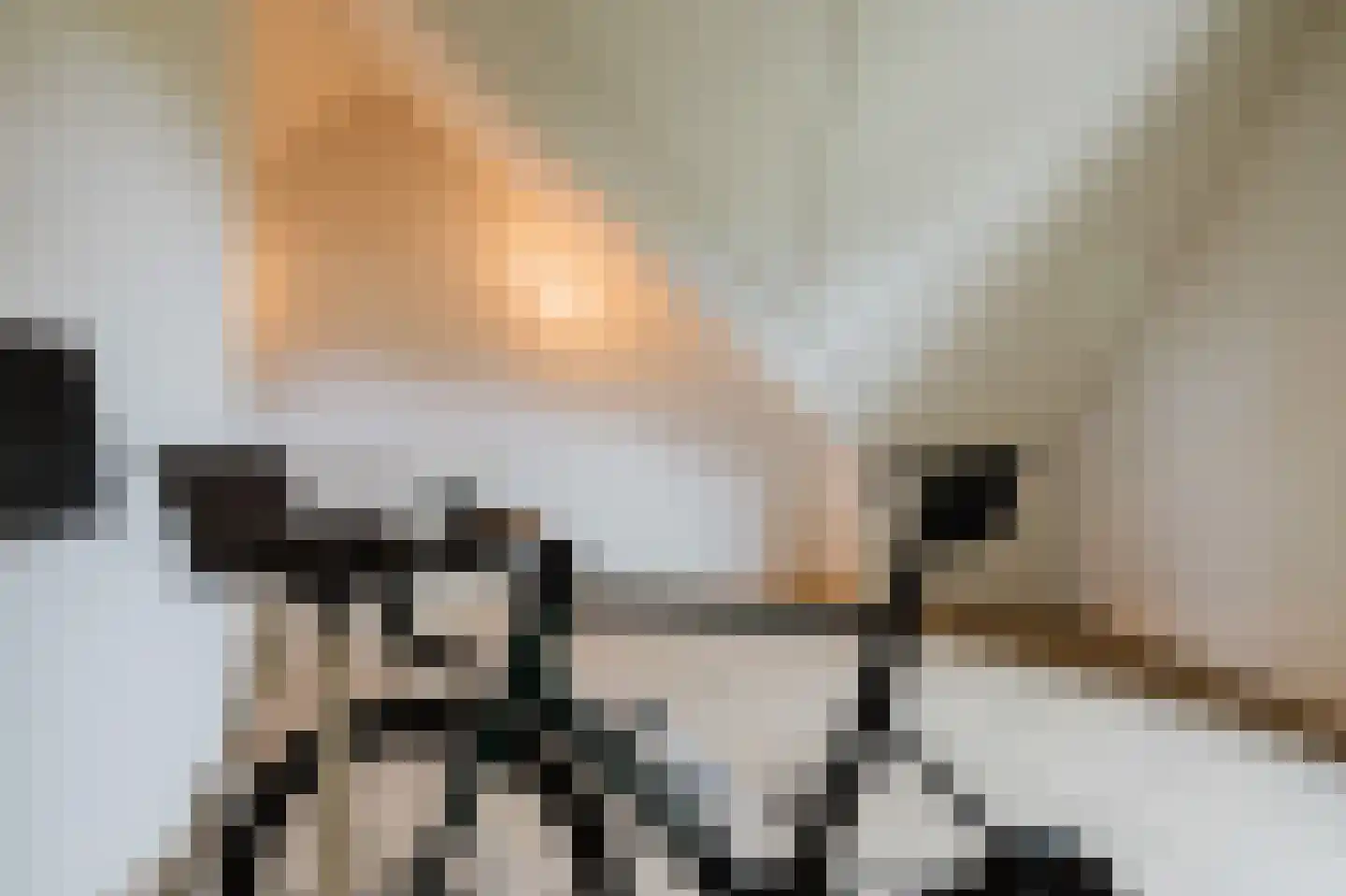 Eindhovensebaan 4 D Veldhoven thumbnail 51