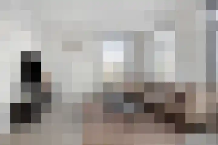 Eindhovensedijk 7 Oirschot thumbnail 11
