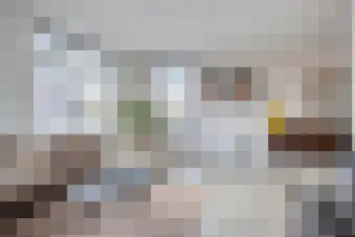 Eindhovensedijk 7 Oirschot thumbnail 12