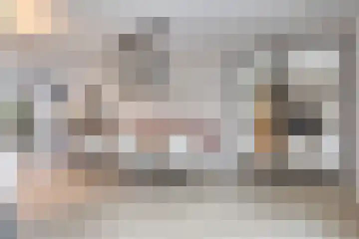 Eindhovensedijk 7 Oirschot thumbnail 17