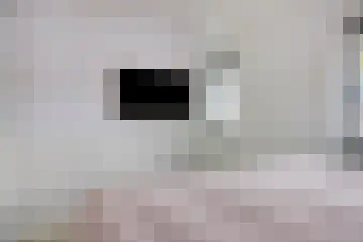 Eindhovensedijk 7 Oirschot thumbnail 27