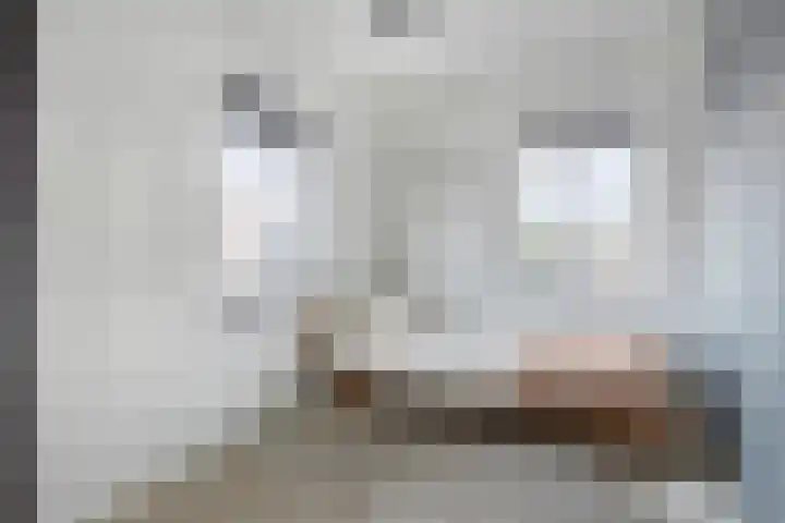 Eindhovensedijk 7 Oirschot thumbnail 29