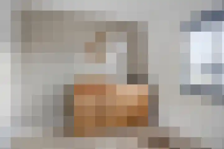 Eindhovensedijk 7 Oirschot thumbnail 32