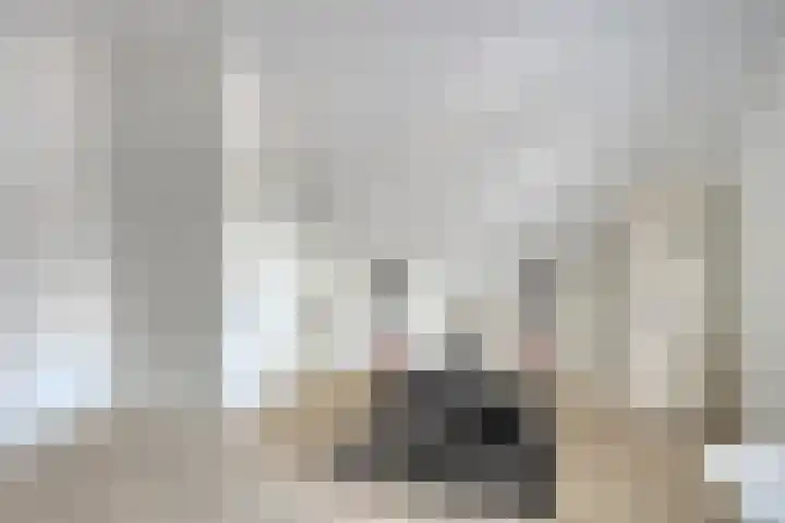 Eindhovensedijk 7 Oirschot thumbnail 37