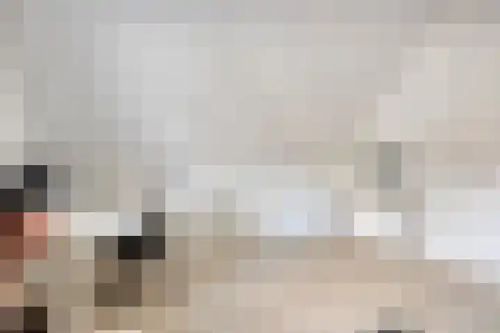 Eindhovensedijk 7 Oirschot thumbnail 38
