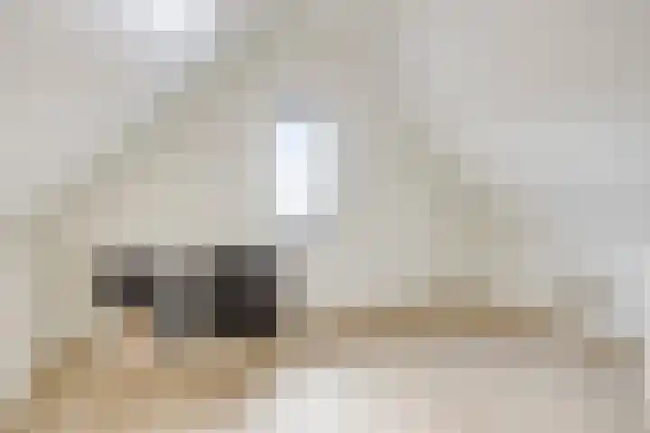 Eindhovensedijk 7 Oirschot thumbnail 39