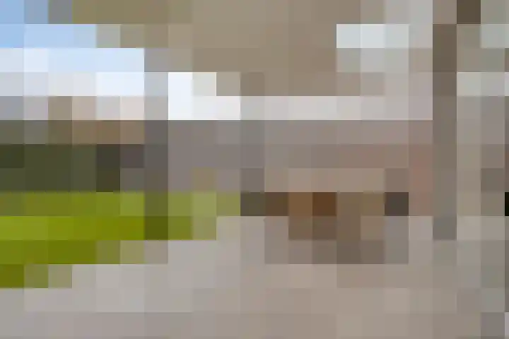 Eindhovensedijk 7 Oirschot thumbnail 43