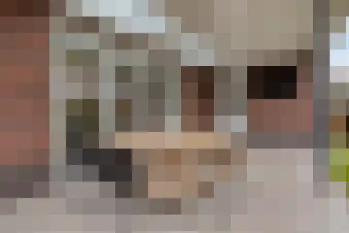 Eindhovensedijk 7 Oirschot thumbnail 44