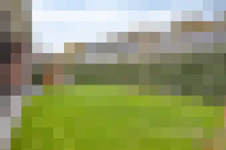 Eindhovensedijk 7 Oirschot thumbnail 45