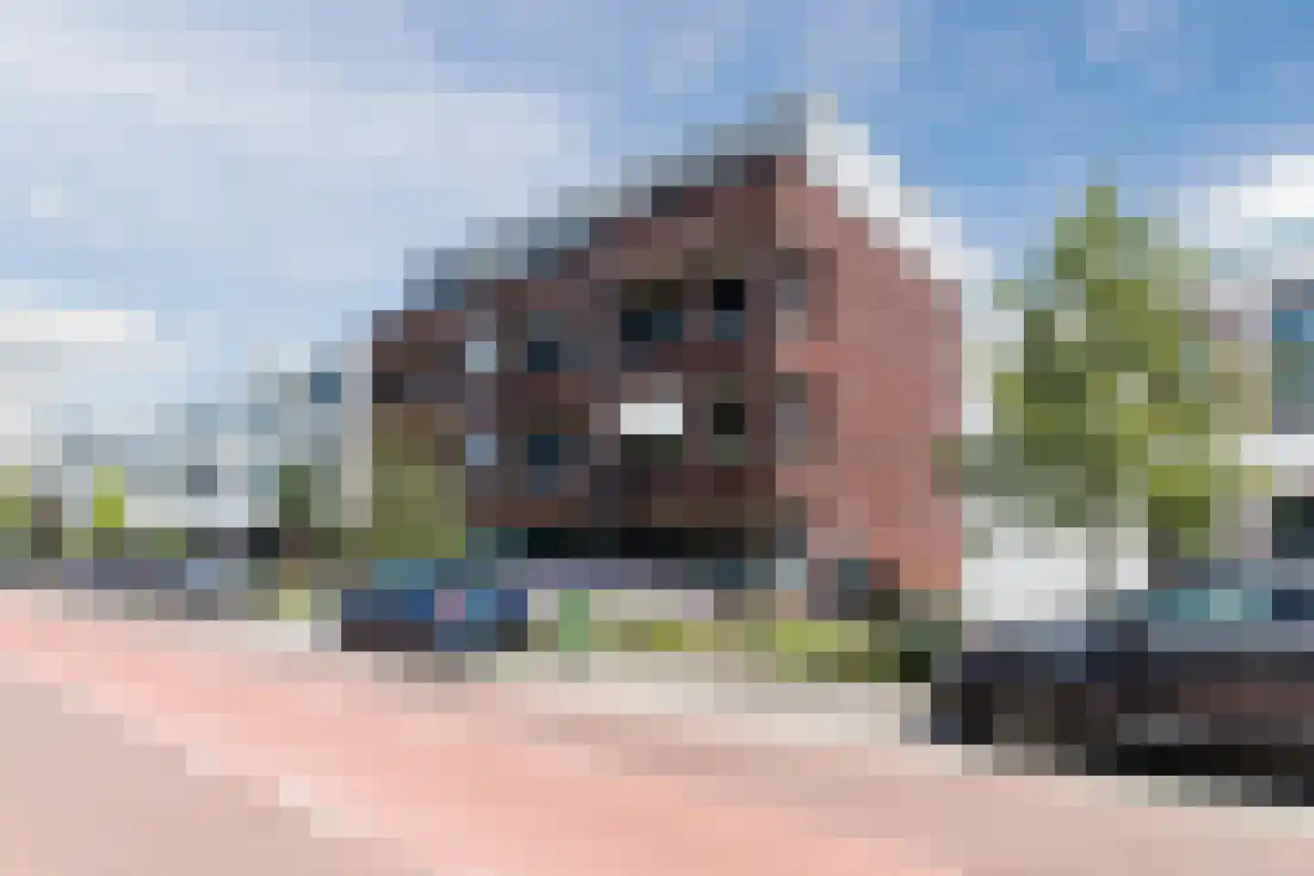 Eindhovenseweg 104 B Valkenswaard thumbnail 43
