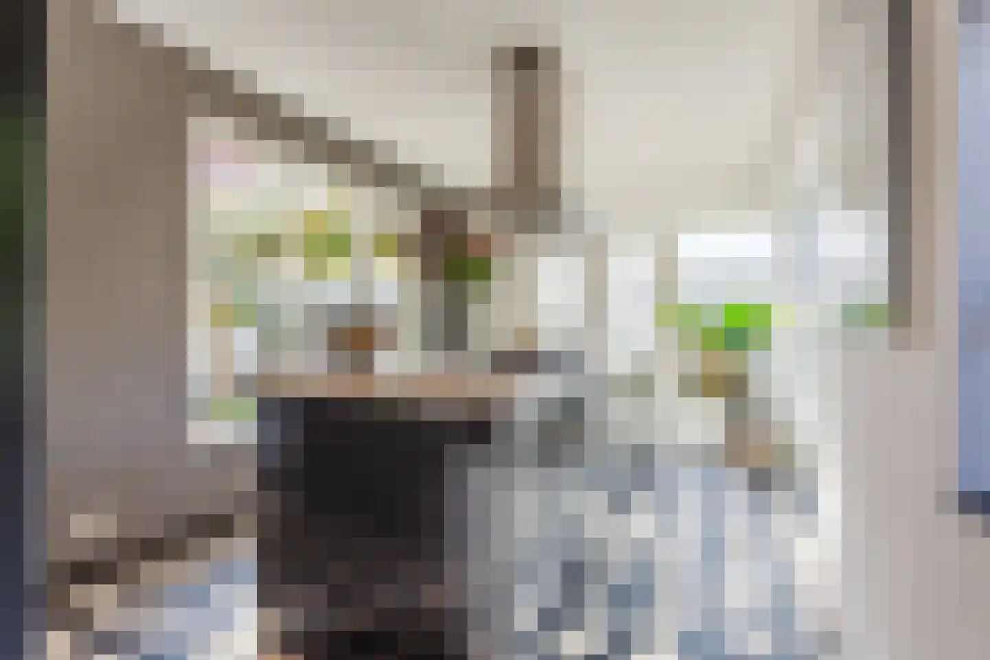 Eindhovenseweg 11 Geldrop thumbnail 10