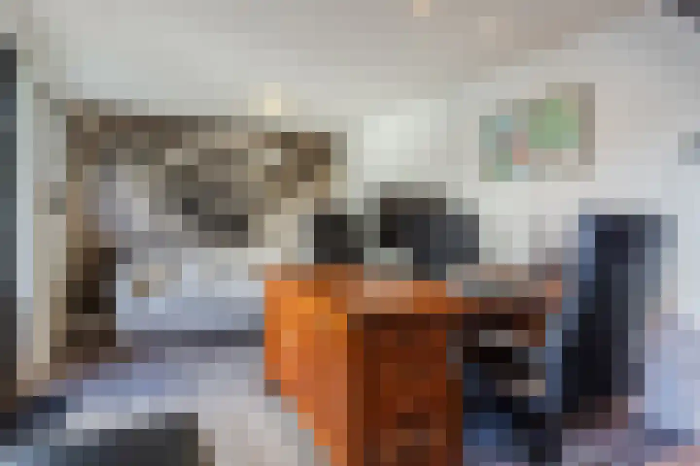Eindhovenseweg 11 Geldrop thumbnail 13