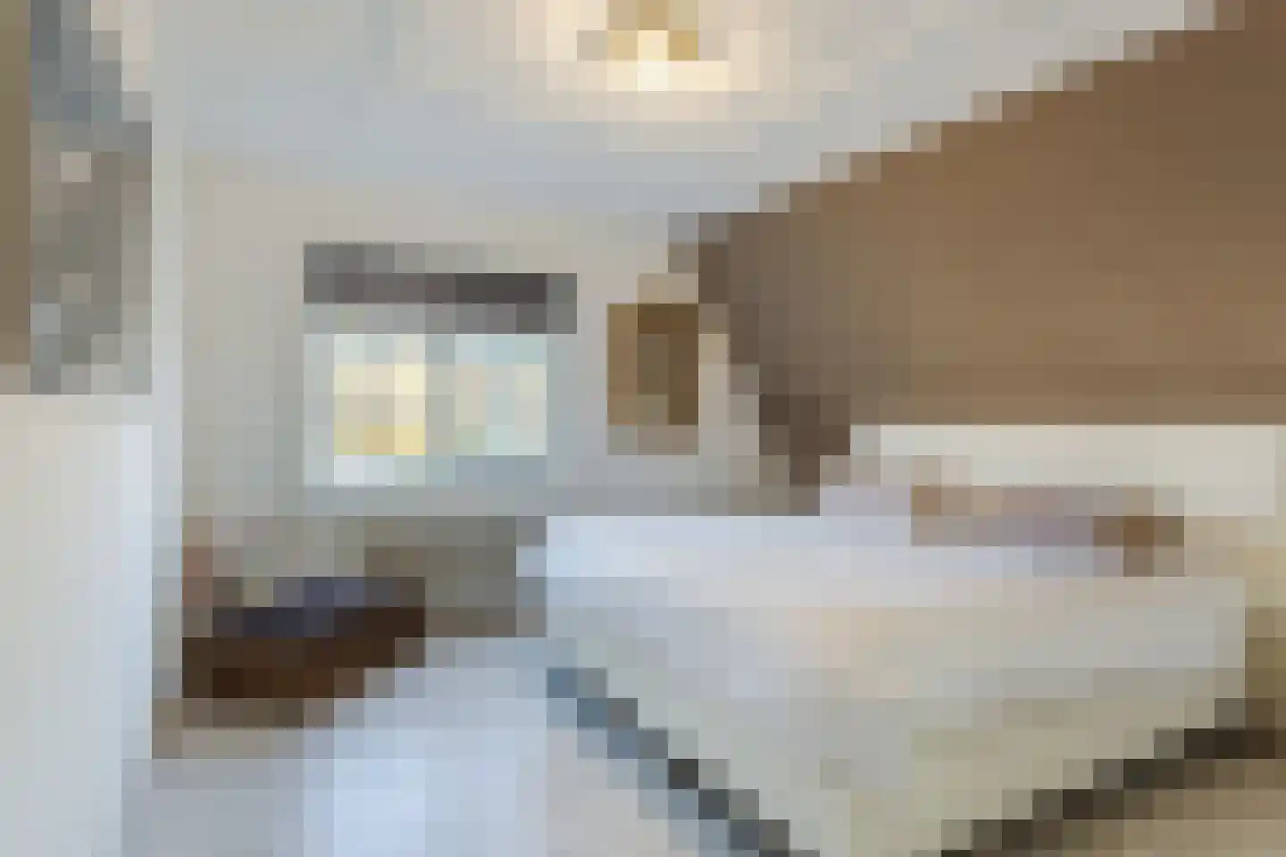 Eindhovenseweg 11 Geldrop thumbnail 17
