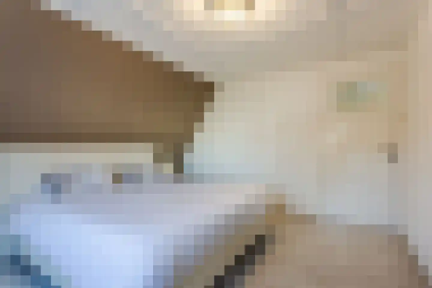 Eindhovenseweg 11 Geldrop thumbnail 18