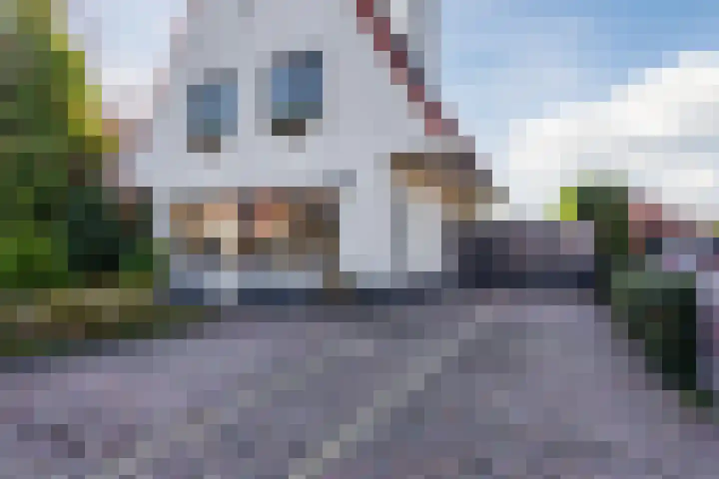 Eindhovenseweg 11 Geldrop foto 2