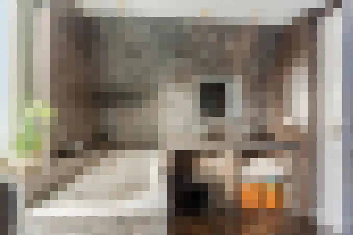 Eindhovenseweg 11 Geldrop thumbnail 22