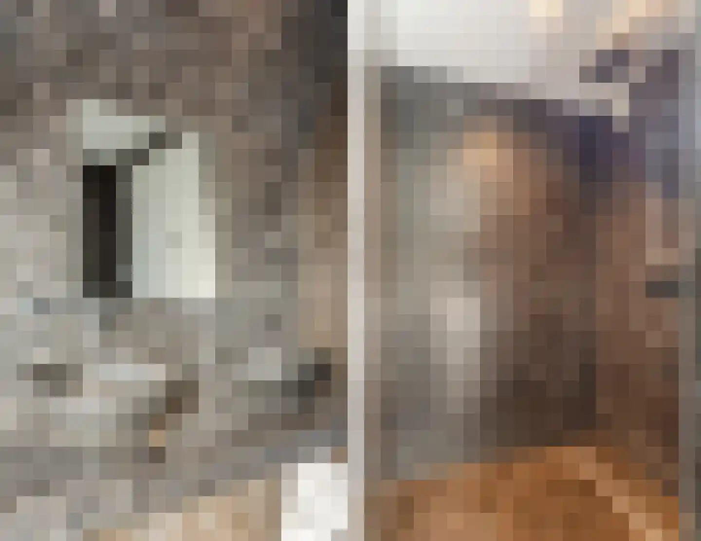 Eindhovenseweg 11 Geldrop thumbnail 23
