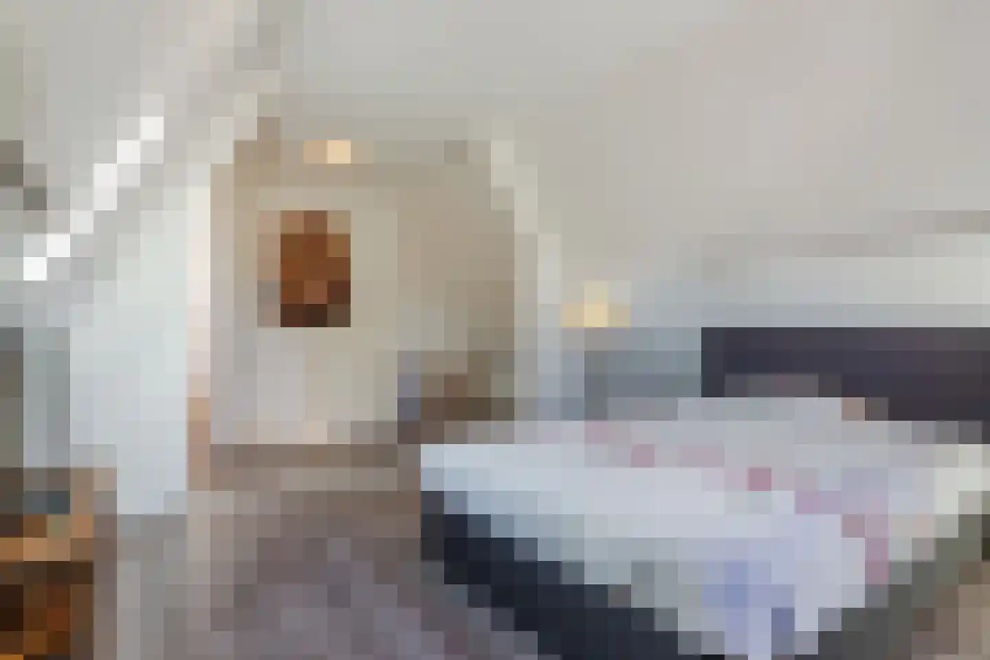 Eindhovenseweg 11 Geldrop thumbnail 26