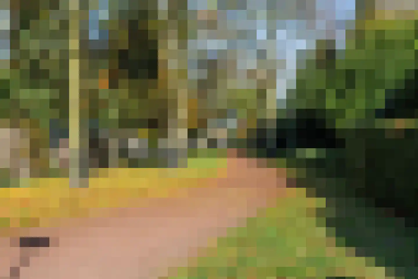 Eindhovenseweg 11 Geldrop thumbnail 35
