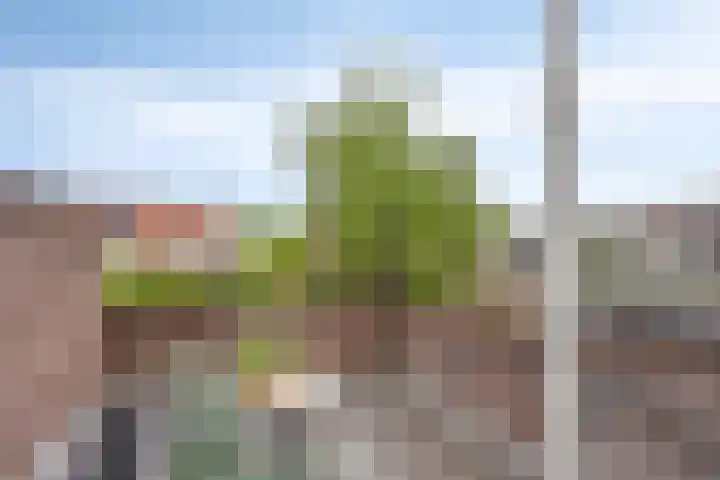 Eindhovenseweg 122 Valkenswaard thumbnail 27
