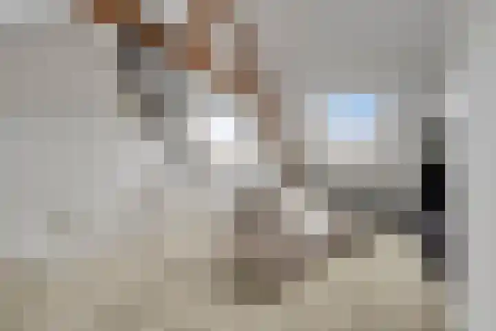 Eindhovenseweg 122 Valkenswaard thumbnail 30