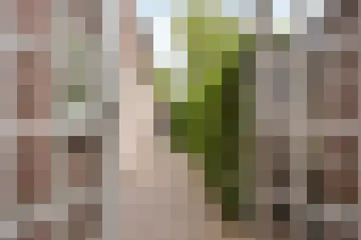 Eindhovenseweg 122 Valkenswaard thumbnail 33