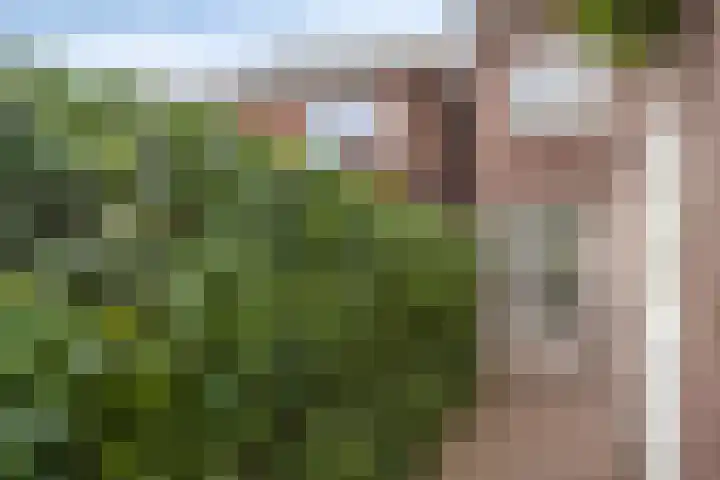 Eindhovenseweg 122 Valkenswaard thumbnail 34