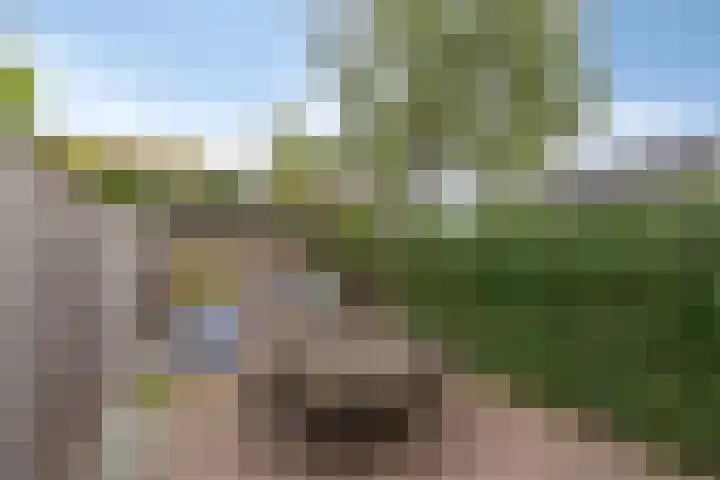 Eindhovenseweg 122 Valkenswaard thumbnail 35