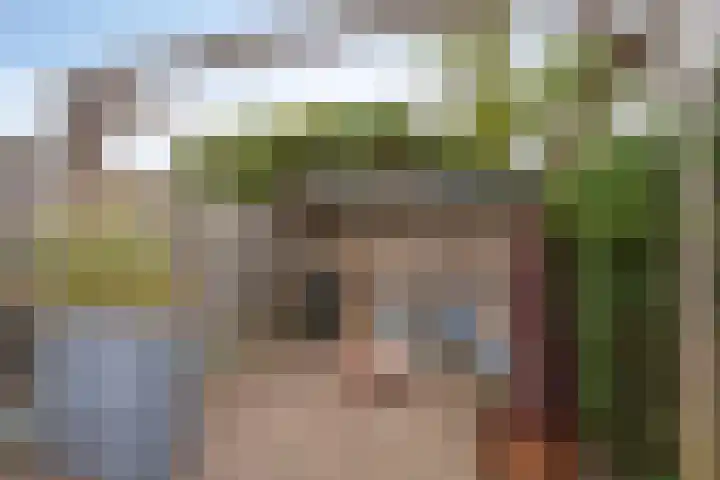 Eindhovenseweg 122 Valkenswaard thumbnail 36