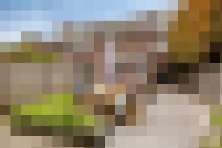 Eindhovenseweg 124 A Valkenswaard thumbnail 36