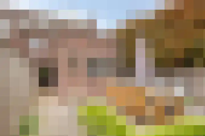 Eindhovenseweg 124 A Valkenswaard thumbnail 37