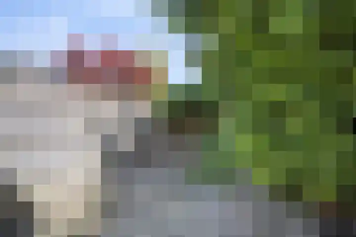 Eindhovenseweg 134 A Valkenswaard thumbnail 33