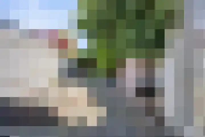 Eindhovenseweg 134 A Valkenswaard thumbnail 5