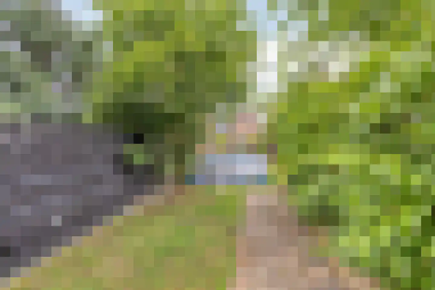 Eindhovenseweg 165 Valkenswaard thumbnail 30
