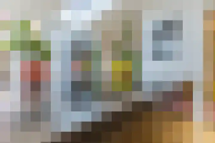 Eindhovenseweg 21 Waalre thumbnail 12